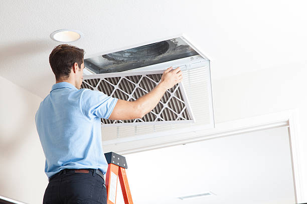 Best Local HVAC companies  in Todd Creek, CO